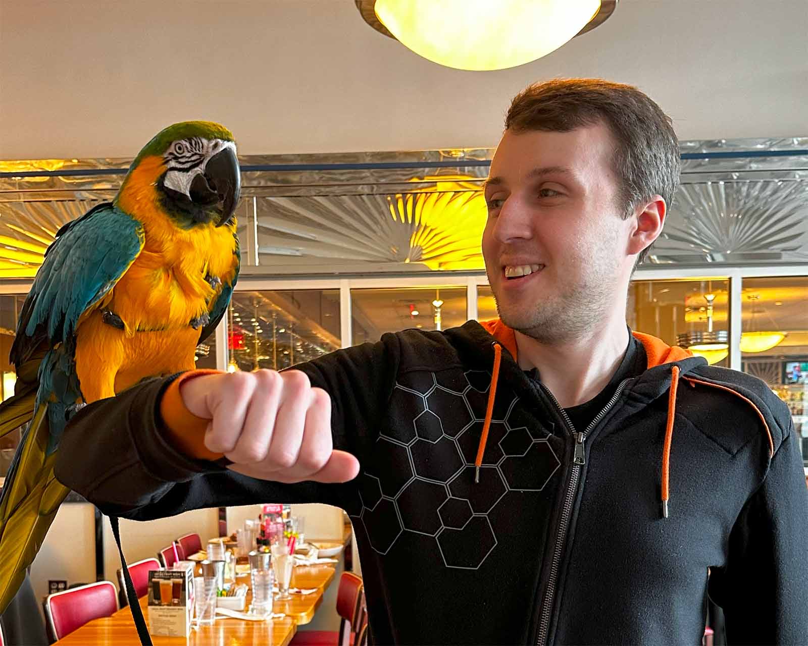 Trevor Mann holding a parrot on his arm